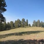 Mueller State Park