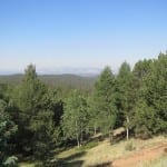 Mueller State Park