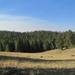 Mueller State Park
