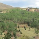 Victor CO Mines