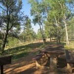 Mueller State Park Picnicking