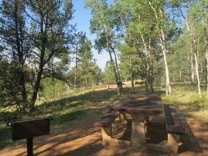 Mueller State Park Picnicking