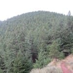 Eldorado Canyon State Park