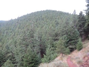 Eldorado Canyon State Park