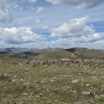 Rocky Mountain National Park