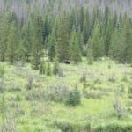 Rocky Mountain National Park