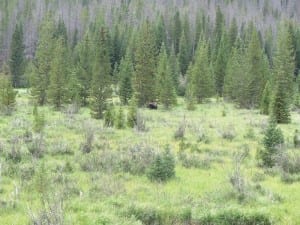 Rocky Mountain National Park