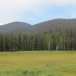 Rocky Mountain National Park