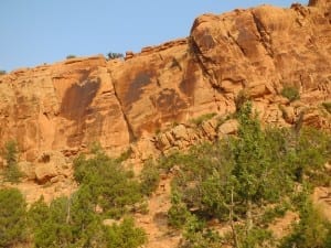 Dinosaur National Monument Petroglpyh