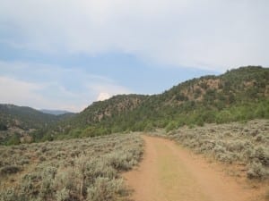 Radium Hot Springs Trail