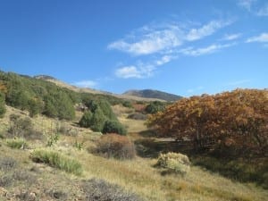 Valley View Hot Springs