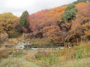 alley View Hot Springs