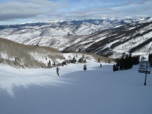 Beaver Creek Ski Resort Larkspur