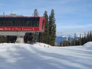 Beaver Creek Ski Resort Birds Of Prey