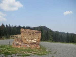 Flat Tops Routt National Forest