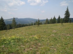 Flat Tops Trail Ripple Creek Pass