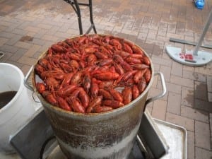 Steamboat Ski Resort Crawfish Boil