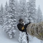Steamboat Ski Resort Bird Feeding