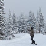 Steamboat Ski Resort Bird Feeding