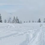 Steamboat Ski Resort Snow Day