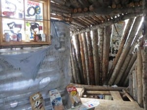 Breckenridge Ski Resort Leo's Cabin Interior