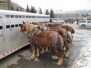 Breckenridge Ski Resort Dinner Sleigh Ride