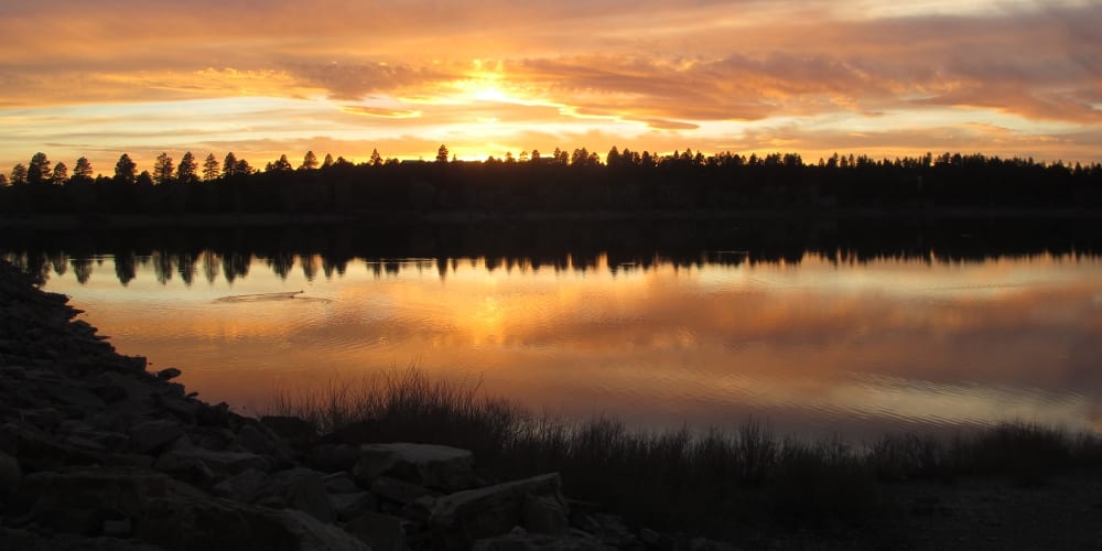 Mancos State Park