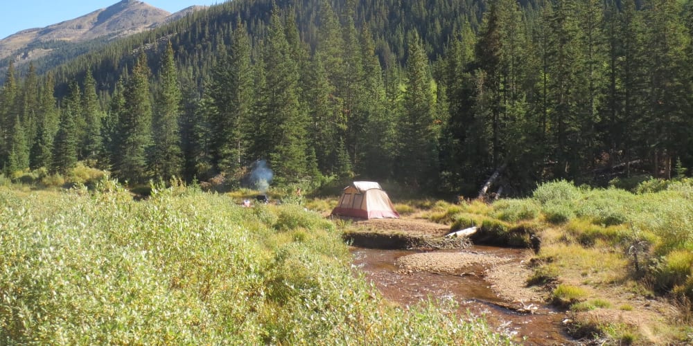 Guanella Pass Dispersed Campsite