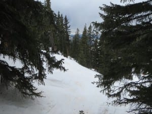 A Basin Montezuma Bowl Trees