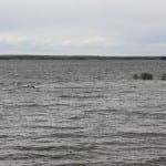 North Sterling State Park
