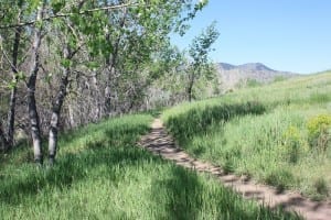 Bear Creek Lake Park Bike Trail