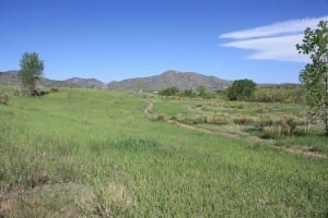 Bear Creek Lake Park Trail