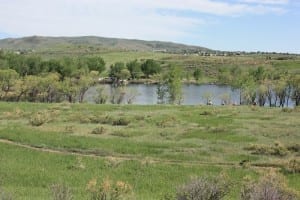 Bear Creek Lake Pelican Point