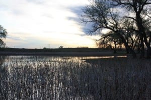 Prewitt Reservoir Sunset