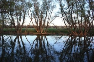 Prewitt Reservoir