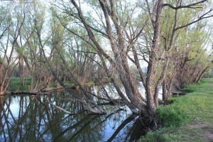 Prewitt Reservoir