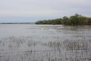 Prewitt Reservoir