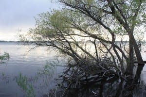 Barr Lake State Park