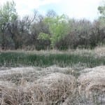 Jackson Lake State Park