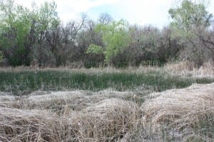 Jackson Lake State Park