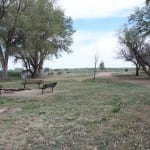 Jackson Lake State Park