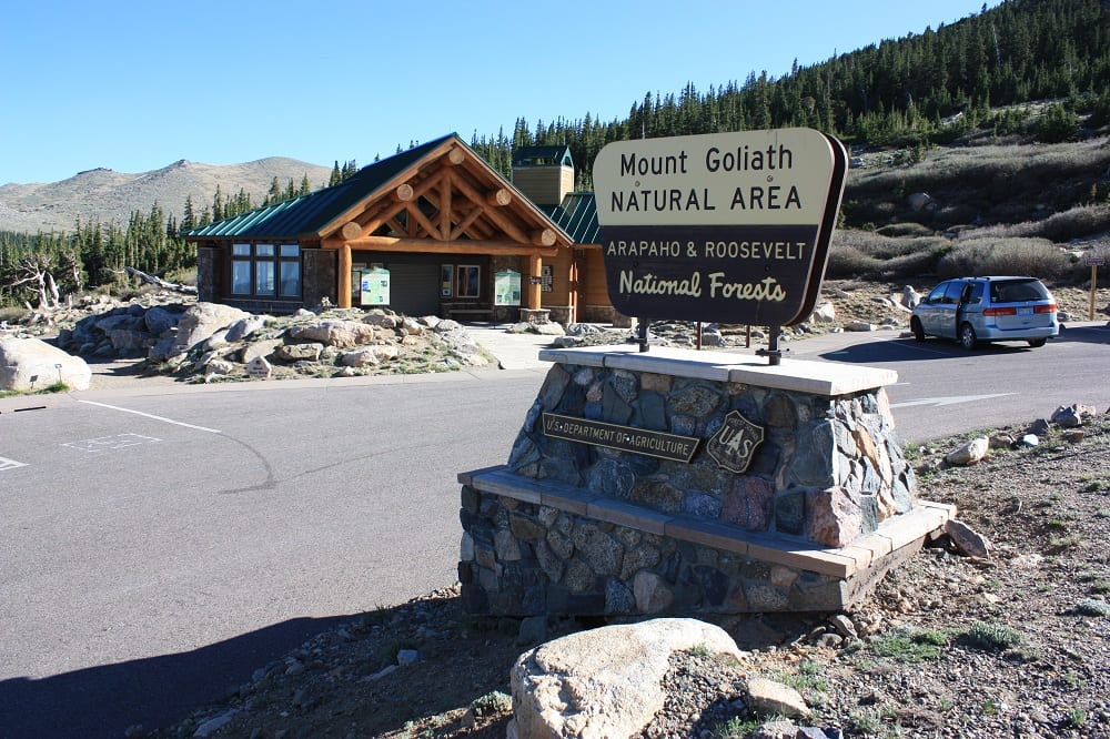 Mount Goliath Natural Area