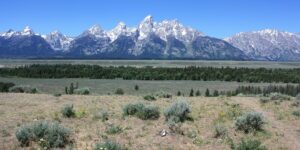 Grand Teton National Park