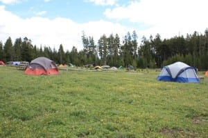 Yellowstone National Park Bridge Bay Campground