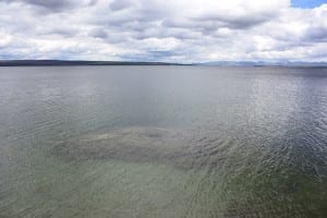 Yellowstone Lakeshore Geyser