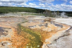 Yellowstone Midway Geyser Basin