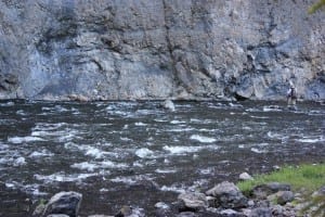 Yellowstone Firehole River Fishing