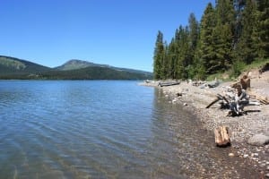 Jackson Lake Lizard Creek Campground