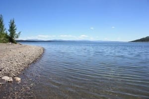 Jackson Lake Lizard Creek Campground