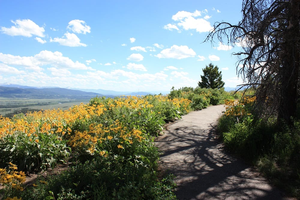 Grand Teton Signal Mountain Overlook Trail